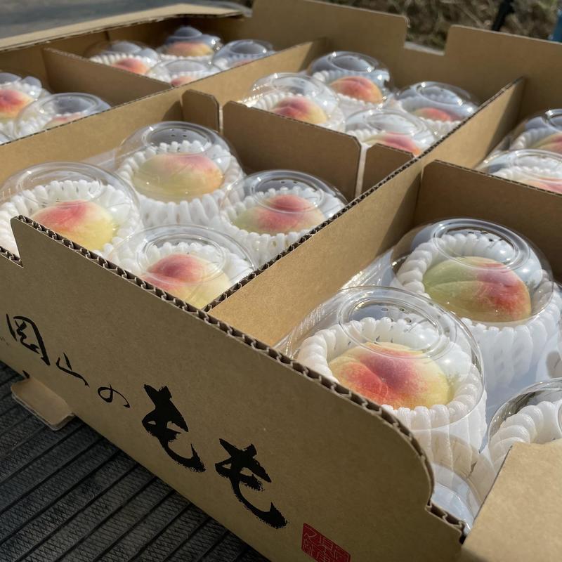初出荷を迎えたはなよめ(浅原)の内容を表示