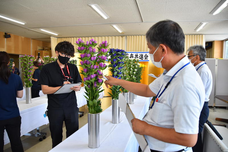 審査の様子②の内容を表示