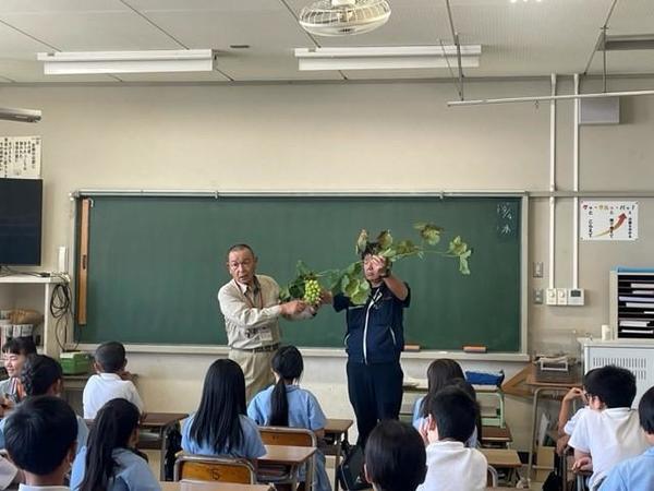 食育授業を行うJA岡山温室ぶどう部会赤木悟志副部会長の内容を表示