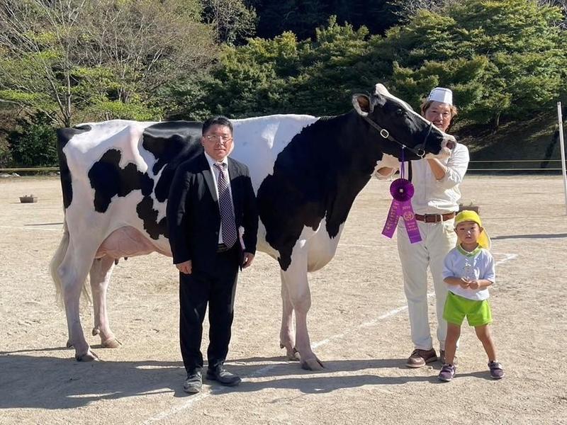 乳用種牛の部グランドチャンピオンに輝いた吉原直樹さんの出品牛「グランデイール ナツトウマキ」の内容を表示