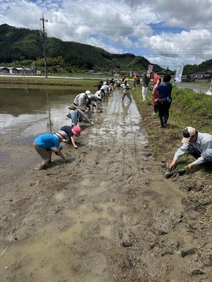 田植えの様子の内容を表示