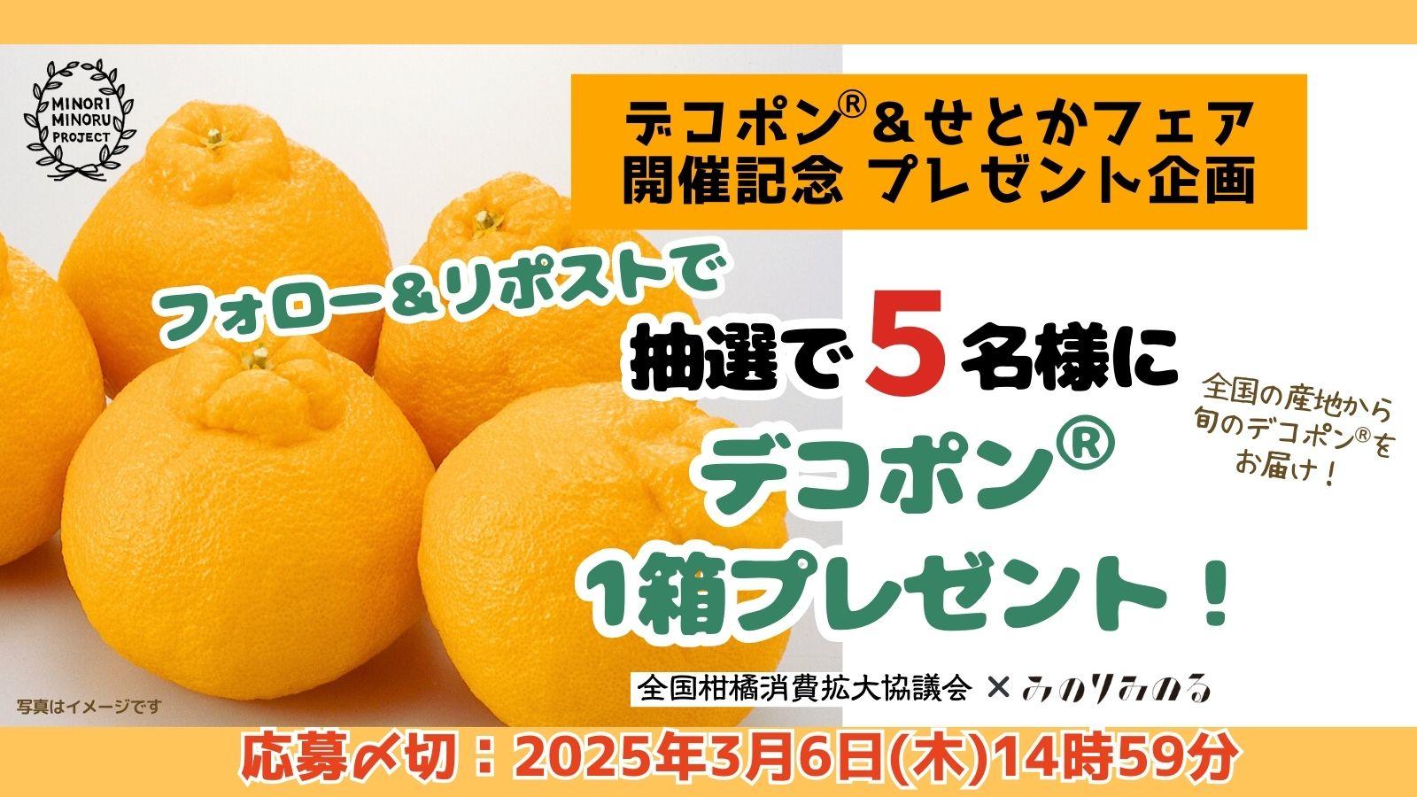 不知火（ デコポン と同品種 ） 熊本産 訳あり ご家庭用 20kg