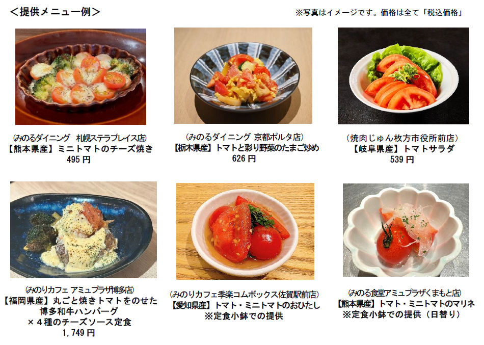 提供メニュー例