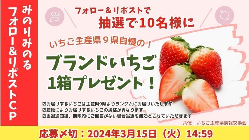 全国の主要産地から人気のブランドいちご揃い踏み～ 全農直営