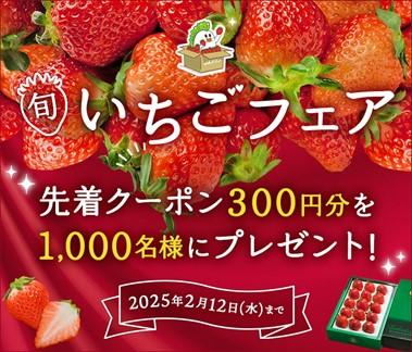 人気メーカー・ブランド いちご様 ミュージシャン