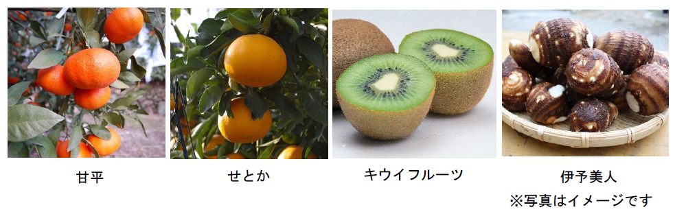 ehime
