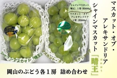 岡山県産ぶどう詰合せセット（全４品）