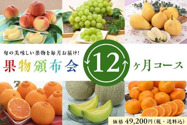 全国から厳選した旬の果物を毎月お届け 産地直送通販サイト jaタウン で 果物頒布会 の販売開始 一年中おいしい果物が食べたい方にピッタリ ja全農 全国から厳選した旬の果物を毎月お届け 産地直送通販サイト jaタウン で 果物頒布会 の販売開始 一年中おいしい果物が食べたい方にピッタリ ja全農
