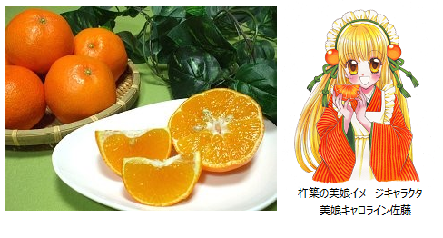 大分県産柑橘「美娘」