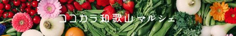 和歌山マルシェバナー