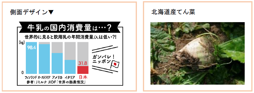 側面・てん菜