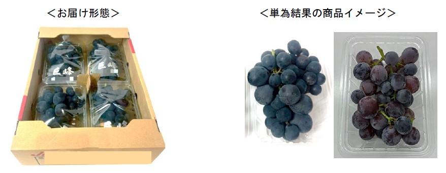 商品イメージ