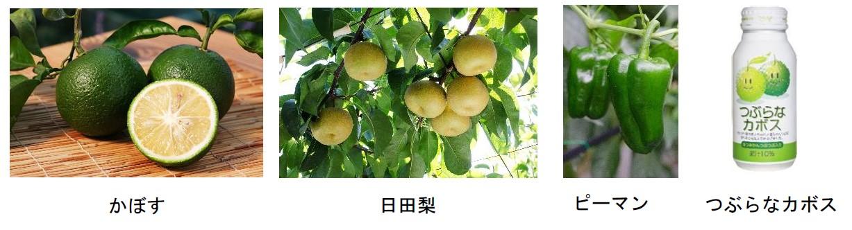 マルシェ出品予定商品の一例