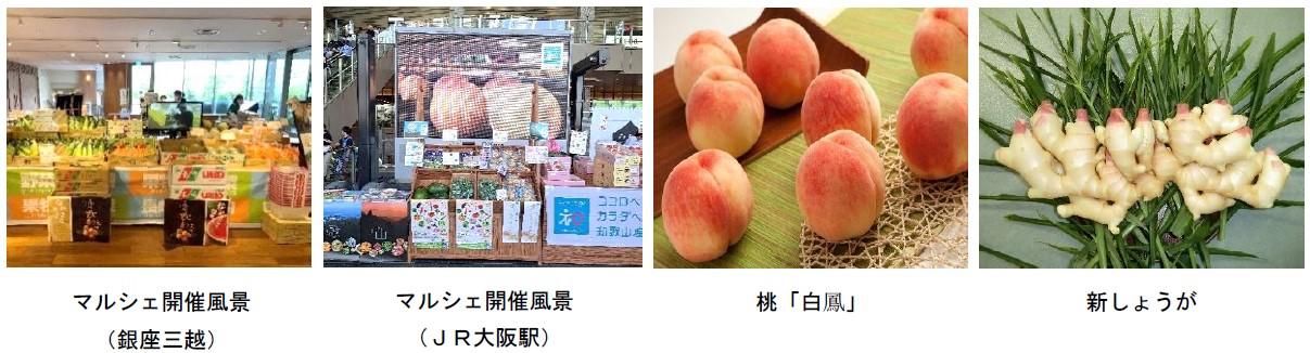 和歌山マルシェ