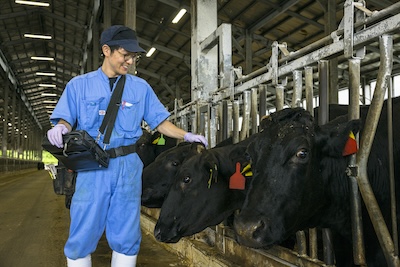 目には見えないけれど活躍している食にまつわる「微生物」のハナシ