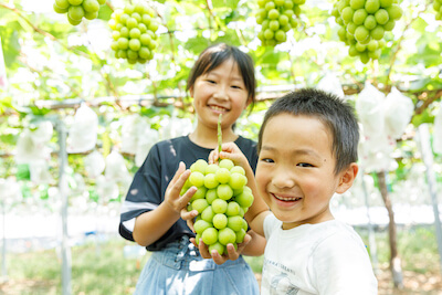 若手社員のランチミーティング