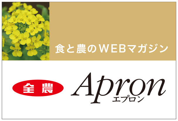 Apron最新号