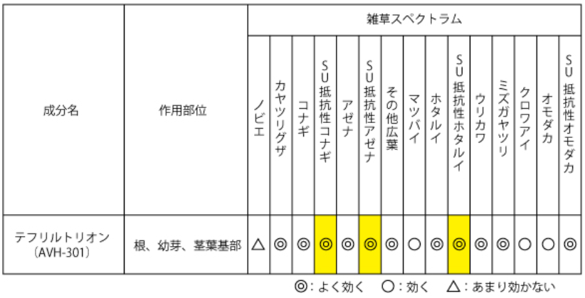 AVH-301の効く雑草