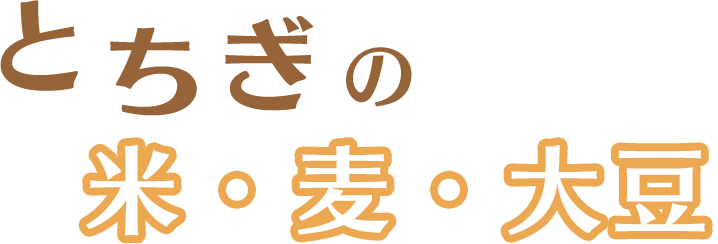 とちぎ米・麦・大豆