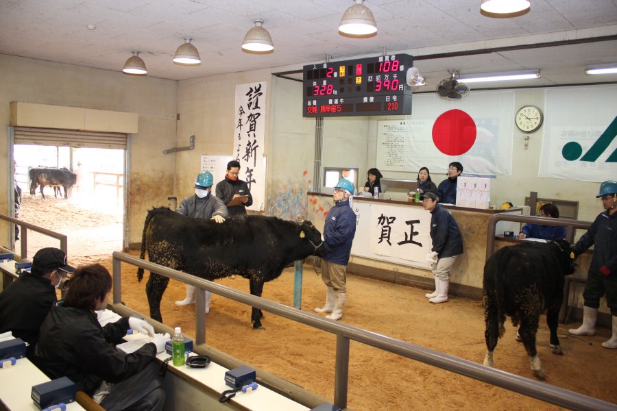 場内(新年初セリの様子