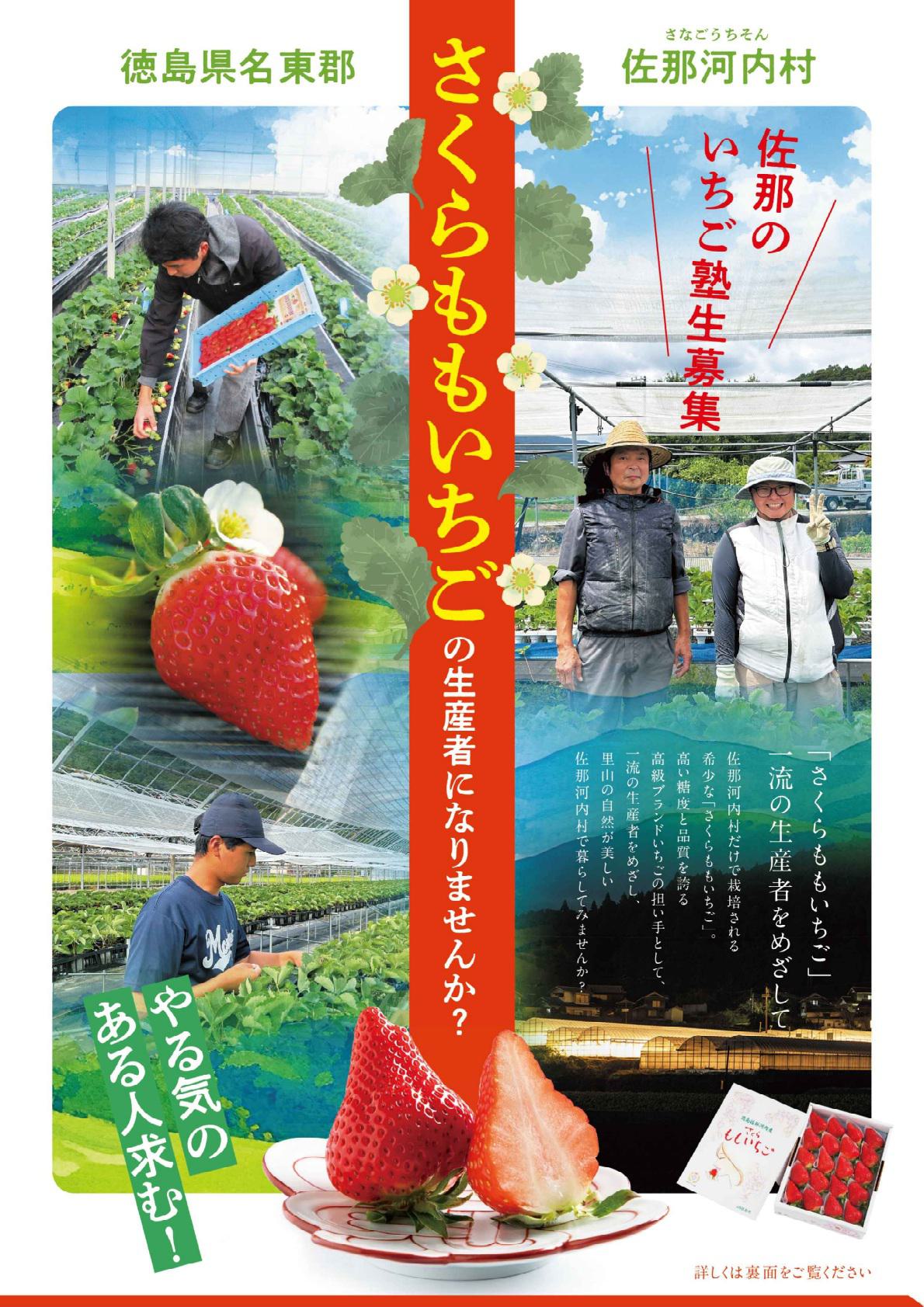 【地域おこし協力隊】佐那のいちご塾生の募集について