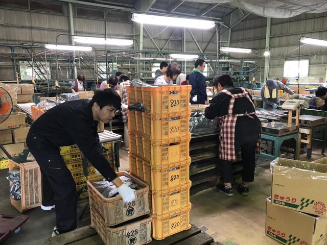 キュウリの荷卸し作業をおこなう様子(JAひがしうわ 選果場)の内容を表示