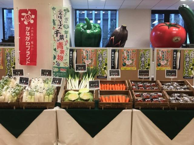 各産地の冬野菜が並んだ「ＪＡまるしぇ」売り場の内容を表示