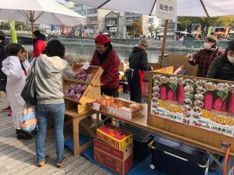 JA里浦の販売の様子の内容を表示