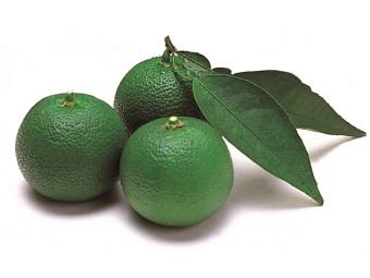 徳島県を代表する香酸柑橘類すだちは、８月中旬から９月にかけて出荷量が増加しますの内容を表示
