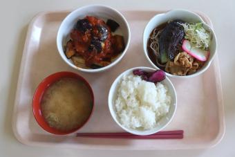 (メニューの一例)徳島県産野菜で、バランスの良い食事を。の内容を表示