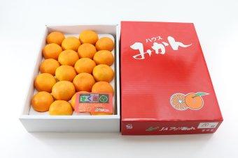 JAアグリあなんのハウスみかん(2kg箱)ですの内容を表示