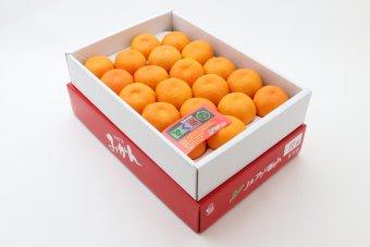 販売期間が限られていますので、ご注文はお早めに!の内容を表示