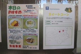 徳島県産スイートコーンの紹介の内容を表示