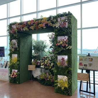 展示された徳島県産花きの内容を表示