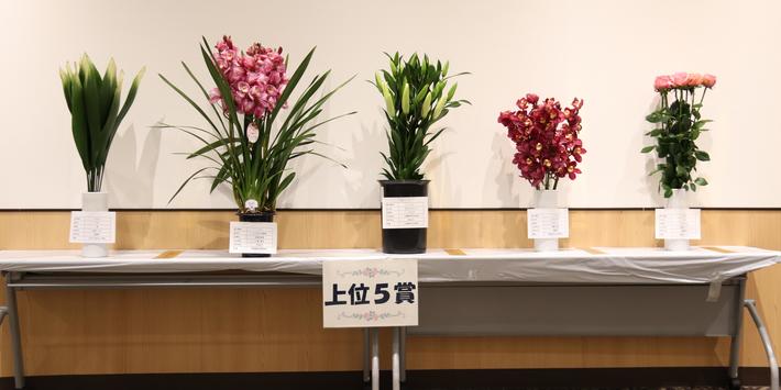 上位5賞を受賞した出品作品の内容を表示