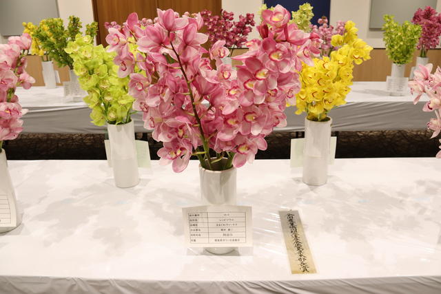 全国農業協同組合連合会徳島県本部県本部長賞「シンビジウム(切花)・きまぐれヴィーナス」の内容を表示