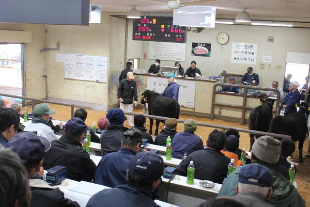 共進会後に開催された和子牛セリ市の様子の内容を表示