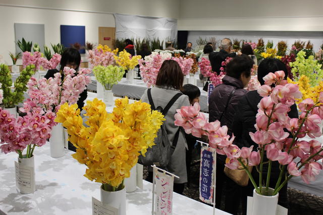 第35回徳島県花き展示品評会の様子の内容を表示