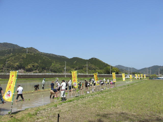 特別栽培米「乙姫米」の圃場（海部郡美波町西河内）の内容を表示