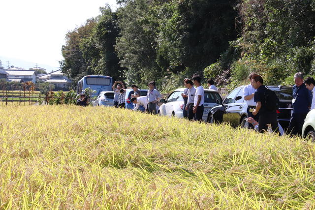 ＪＡ阿波町管内でおこなわれた「阿波山田錦」収穫前の圃場視察研修会の様子（10月9日）の内容を表示