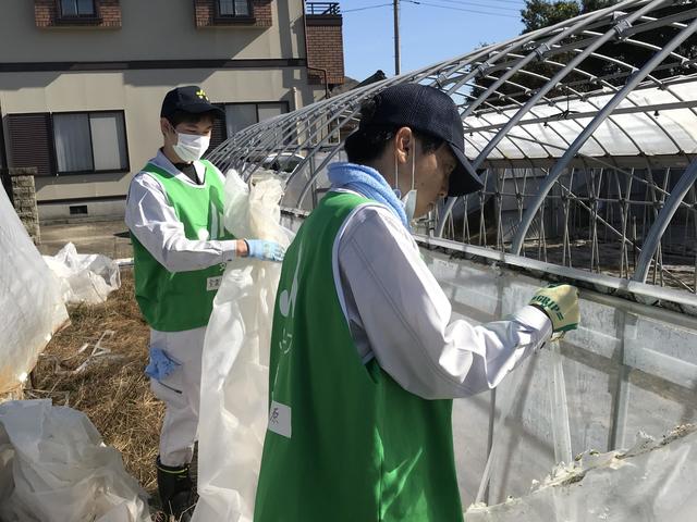 JA安房管内での支援作業の様子の内容を表示