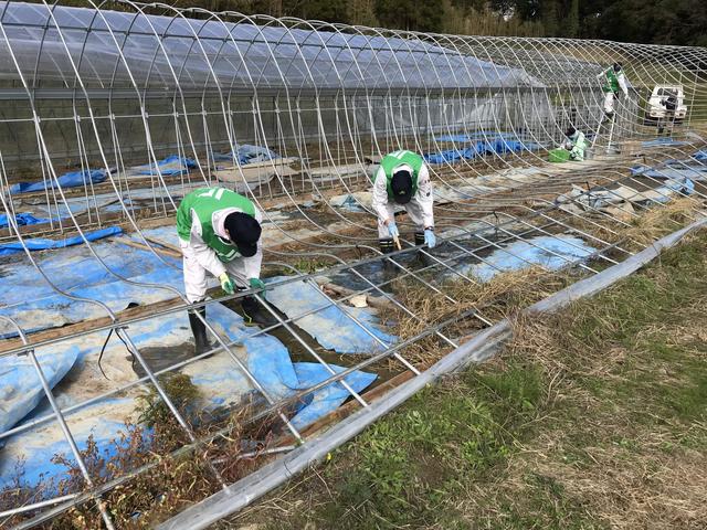 当県本部職員2名を含め、JAグループ徳島から10名が参加しましたの内容を表示