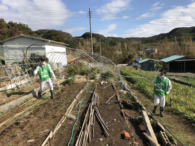 パイプハウス資材の作業などをおこないましたの内容を表示