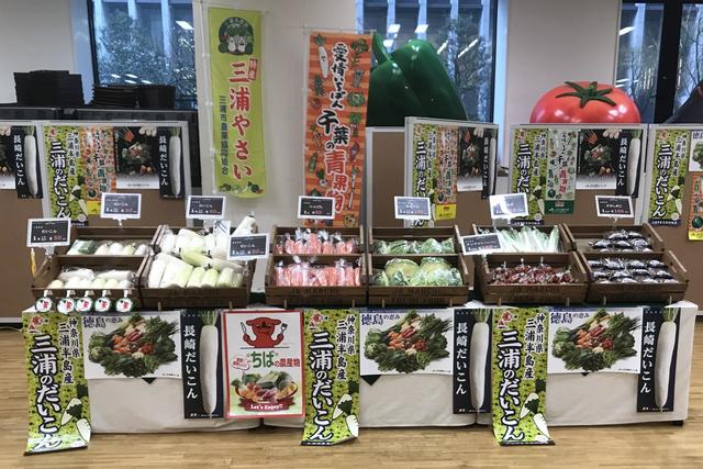 各産地の冬野菜が並んだ「JAまるしぇ」売り場の内容を表示