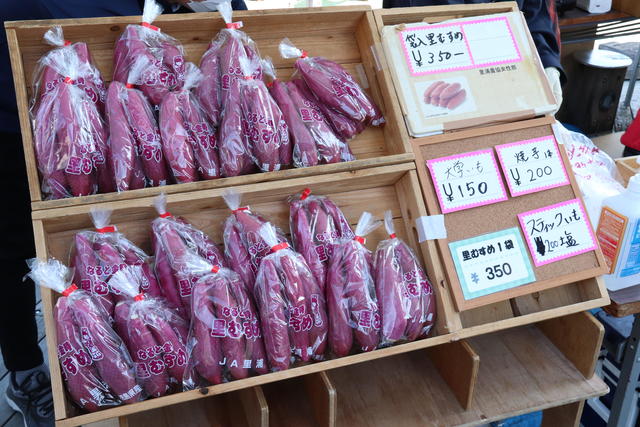 JA里浦が参加し、なると金時「里むすめ」を販売しましたの内容を表示
