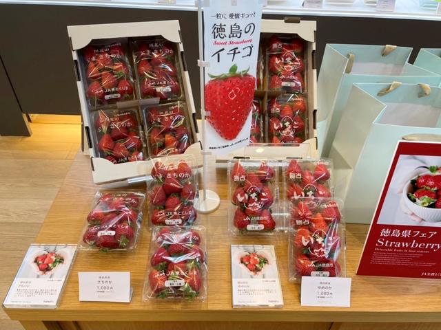 徳島県産いちごの販売の様子の内容を表示