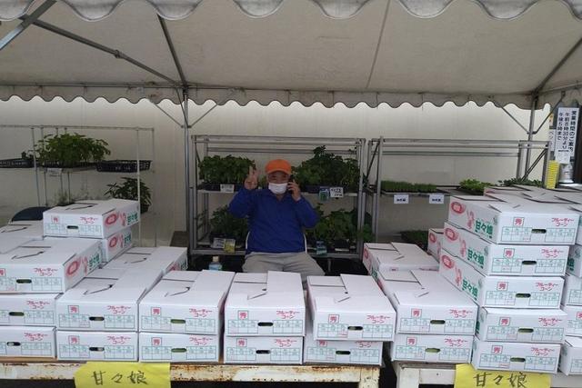 ＪＡ麻植郡「ひまわり農産市」の内容を表示