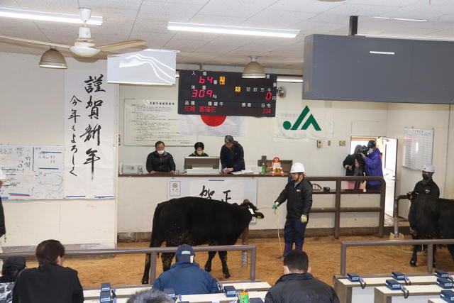 令和6年子牛初セリの様子の内容を表示