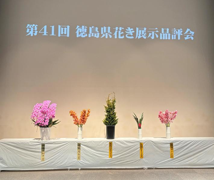 上位5賞の内容を表示