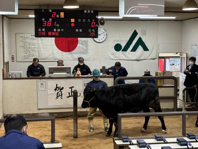 初セリの様子の内容を表示